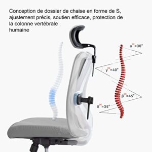 SIHOO Chaise de Bureau Ergonomique avec Appui-tête et Soutien Lombaire (Gris)