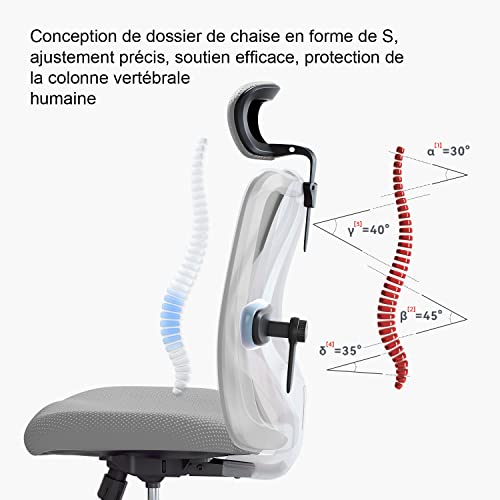 SIHOO Chaise de Bureau Ergonomique avec Appui-tête et Soutien Lombaire (Gris)