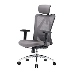 SIHOO Chaise de Bureau Ergonomique avec Appui-tête et Soutien Lombaire (Gris)