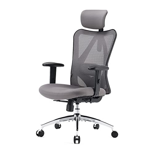 SIHOO Chaise de Bureau Ergonomique avec Appui-tête et Soutien Lombaire (Gris)