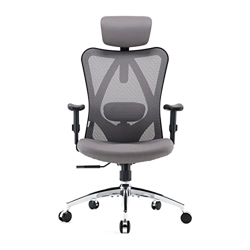 SIHOO Chaise de Bureau Ergonomique avec Appui-tête et Soutien Lombaire (Gris)