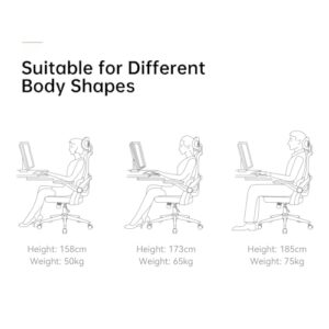 SIHOO M102C : Chaise de Bureau Ergonomique avec Accoudoirs et Soutien Lombaire