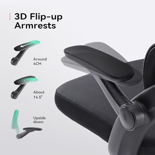 SIHOO M102C : Chaise de Bureau Ergonomique avec Accoudoirs et Soutien Lombaire