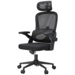 SIHOO M102C : Chaise de Bureau Ergonomique avec Accoudoirs et Soutien Lombaire