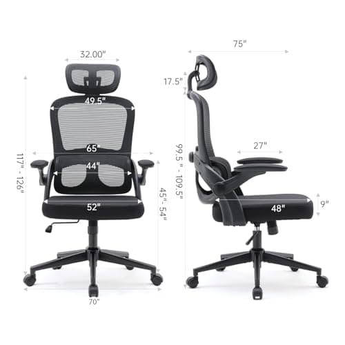 SIHOO M102C : Chaise de Bureau Ergonomique avec Accoudoirs et Soutien Lombaire
