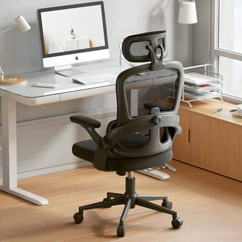 SIHOO M102C : Chaise de Bureau Ergonomique avec Accoudoirs et Soutien Lombaire