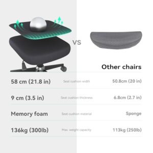 SIHOO M102C : Chaise de Bureau Ergonomique avec Accoudoirs et Soutien Lombaire