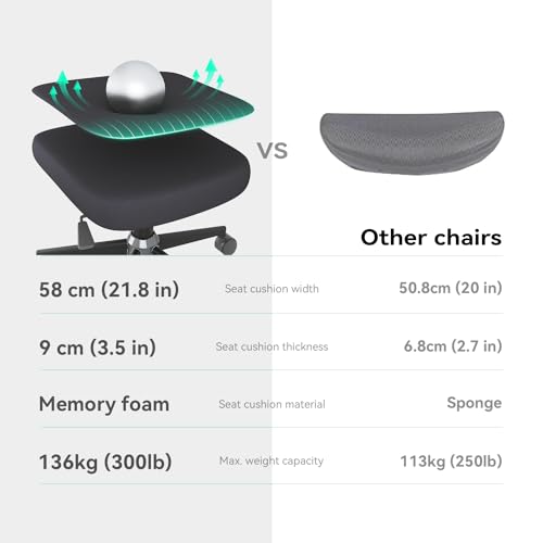 SIHOO M102C : Chaise de Bureau Ergonomique avec Accoudoirs et Soutien Lombaire