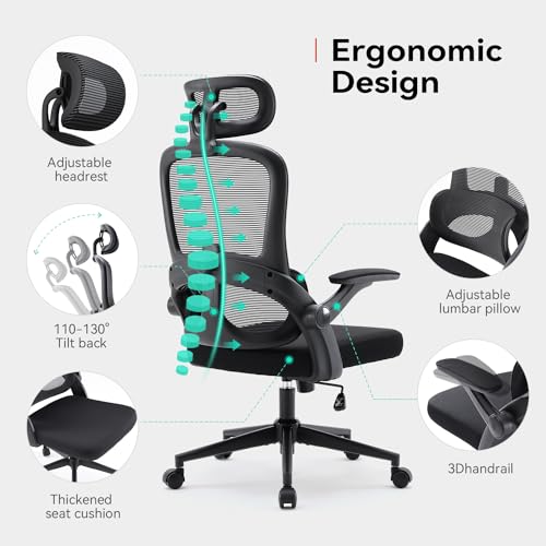 SIHOO M102C : Chaise de Bureau Ergonomique avec Accoudoirs et Soutien Lombaire