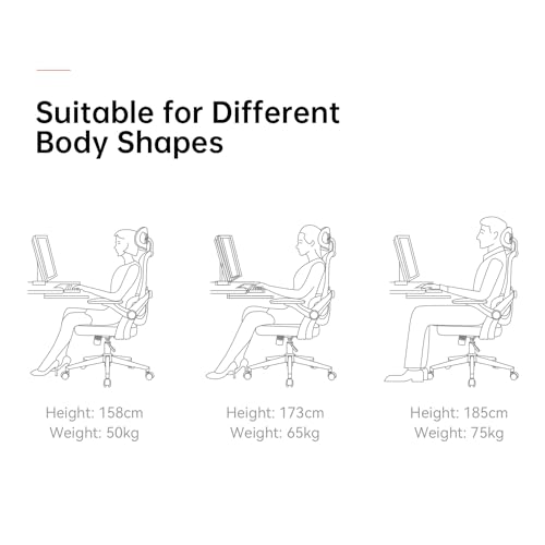 SIHOO M102C : Chaise de Bureau Ergonomique avec Accoudoirs et Soutien Lombaire