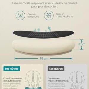 SONGMICS OBN047B01 : Chaise Bureau Ergonomique avec Support Lombaire et Accoudoirs Rabattables
