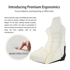 Siège Gaming AKRACING Core Série EX en Tissu Noir