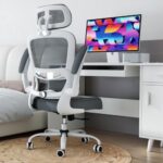 TRALT Chaise Ergonomique de Bureau Mesh Réglable avec Roues - Gris Clair