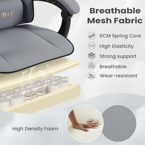 WOLTU GS11gr : Chaise Gaming Ergonomique avec Repose-Pieds et Support Lombaire