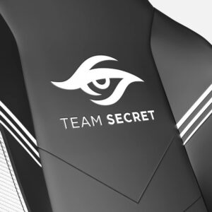 Chaise Gamer Secretlab Team Secret : Confort et Performance Ultime