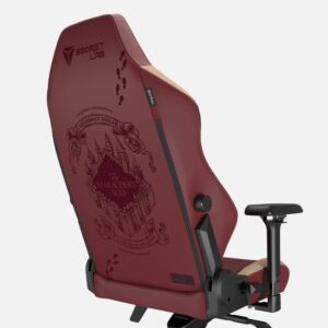 Chaise Gaming Harry Potter Gryffondor – Modèle Secretlab disponible