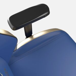 Chaise Gaming Secretlab World of Warcraft Alliance – Confort Optimal