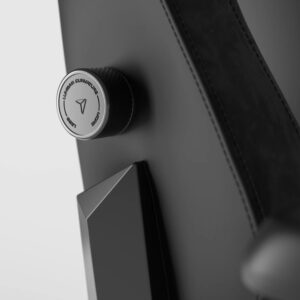 Chaise Gaming Secretlab Noir - Confort et Performance Optimisés