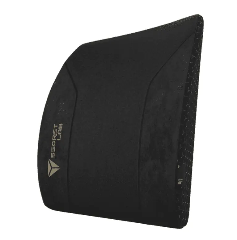 coussin lombaire pro secretlab