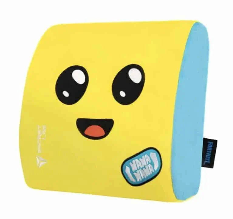 coussin lombaire secretlab fortnite