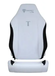 secretlab skin frost blue